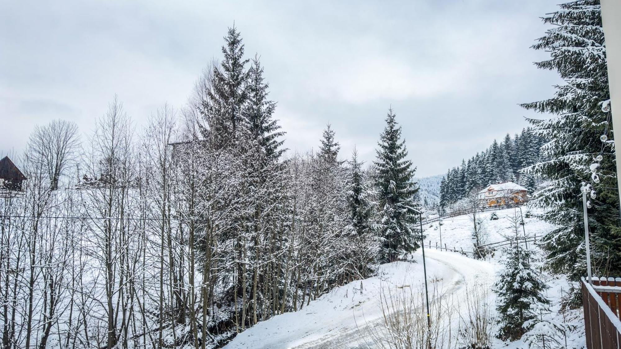 Lion Hotel Bukovel Quarto foto